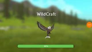 ДАЮ АККАУНТ В WILDCRAFT??!! ОТДАЮ АККАУНТ С 200 lvl И С МИСТИКАМИ!!! Vika Nice.