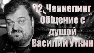 12. Ченнелинг. Общение с душой.  Василий Уткин: "Грустно, многое не успел".