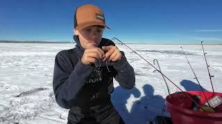 Ice Fishing In Colorado | Catching Trout & Good Times on the Ice!