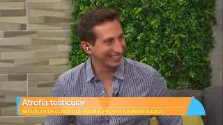 Atrofia testicular post covid-19 | SEXAPRENDIENDO