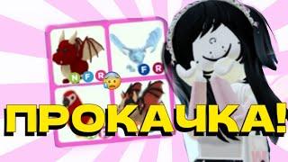 ПРОКАЧКА ИНВЕНТАРЯ ПОДПИСЧИКА! Adopt Me Roblox