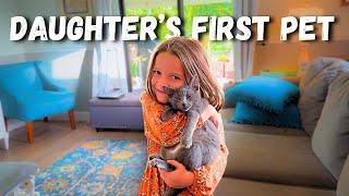 Adopting a Cat: Our 6-Year-Old's Heartwarming Journey