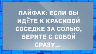 Если вы идете к красивой соседке за солью, берите с собой... Анекдоты.