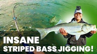 Insane Striped Bass Jigging on Long Island!