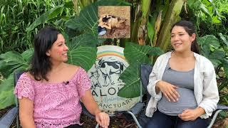 Da Best Hawaii: Aloha Animal Sanctuary