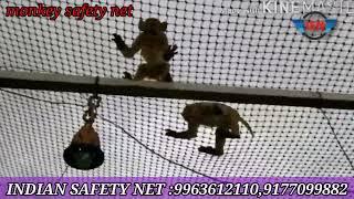 monkey safety net #indiansafetynet#in_hyderabad