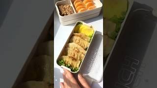 pack lunch with me  FRIED DUMPLING #shorts #asmr #satisfying #food #lunchbox