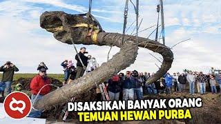 BUKTI DINOSAURUS Itu Nyata! inilah Penemuan Fosil Hewan Purba Terbaru di Abad ini