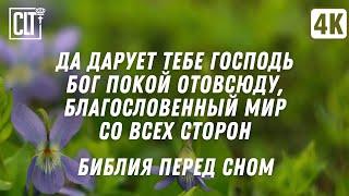 Не можешь уснуть? С наслажденьем погружайся в Писание | Дождливое озеро и Библия | Relaxing