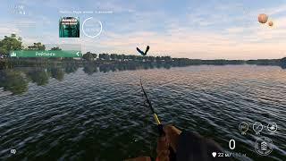 Fishing Planet Ловись,Амур,малий та великий! (Danger in the grass)