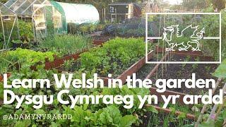 Learn Welsh in the garden / Dysgu Cymraeg yn yr ardd