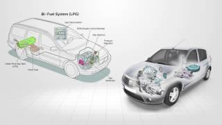 LPG Vapour System Overview