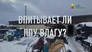 Впитывает ли ППУ влагу???