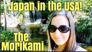 How I fell in love with Japan - Morikami Museum & Gardens! アメリカでの日本博物館モリカミ博物館＆ガーデン