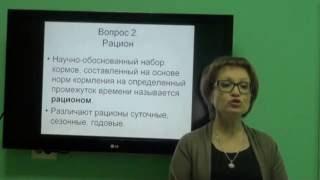 Козина Е.А. Основные элементы системы нормированного кормления.