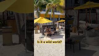Jam out on the tropical beach to a reggae band at RoMarley Beach House in Puerto Morelos @ 5s - Pt.2