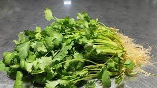 A bunch of tonics are worse than a handful of coriander. My 88-year-old grandma taught me