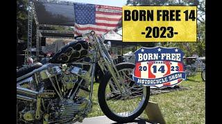 Born Free 14 preview #DicEtv