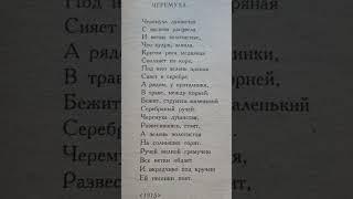 Сергей Есенин. Черёмуха. #shorts #поэзия #poetry #стихи