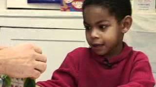 Theory of Mind Success.mpg