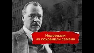 Имели доступ к рису и гречихе, но за время блокады не съели ни грамма семян: подвиг ученых