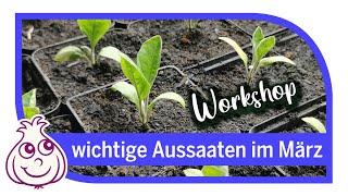 Wichtige Aussaaten im März | Workshop Teil 9