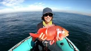 Red roman fishing at Macassar reef