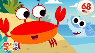 The Crabs Go Crawling + More | Fun Summer Songs | Super Simple Songs