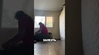Что случилось с котом после его роковой ошибки #shorts