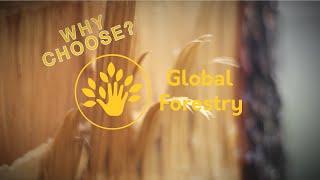 The GloFor MSc program: Forestry All Over the World