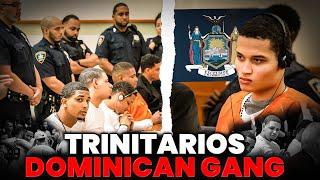 TRINITARIOS vs NYC, The MOST FEARED in New York History