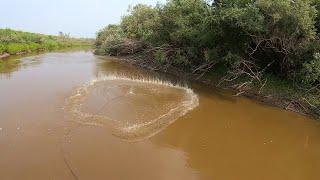 ВОТ ЭТО РЫБАЛКА!!! ВОДЫ В РЕКЕ ПО КОЛЕНО А РЫБЫ В НЕЙ НЕМЕРЕНО!!! РЫБА НА КАЖДОМ ЗАБРОСЕ...