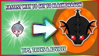 MOPE.IO THE FASTEST WAY TO GET TO BLACK DRAGON! TIPS, TRICKS & ADVICES! (Mope.io)