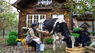 Cheesemaking - Making Cheese From Fresh Cow's Milk