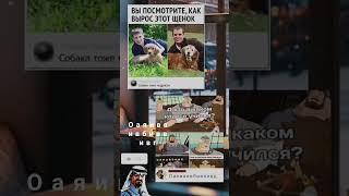 ржака #smalldeir #tiktok #shorts