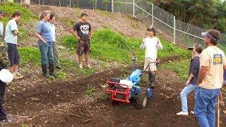 New farmers cultivated by GoFarm Hawaii