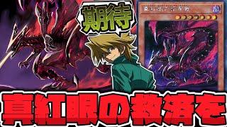 【遊戯王】 理解度が高いデザインなのに！MDに未実装… 『真紅眼の亜黒竜』 【ゆっくり解説】