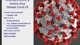 What is COVID-19?  Prof F. Eyskens -  Fabry International Network Webinar