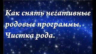 Как снять негативные родовые программы. Биоэнергетика рода