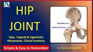 Hip Joint | Hip joint anatomy - type, ligaments, movements, dislocation |