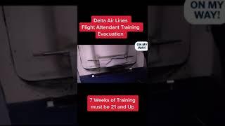 LIKE TV | Flight Attendant #Shorts
