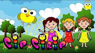 Puisorul Cip-Cirip - Cantece pentru copii (desene animate) | Cip-Cirip