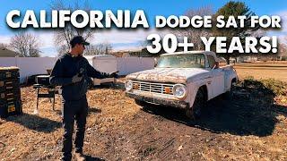 SAVING a Classic Dodge Truck - Will it RUN and DRIVE after 30 years?