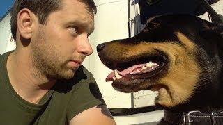 1st Channel Trailer for Trucker Josh and Diesel