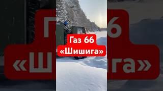 Шишига на Северном Урале  #russia #урал #северныйурал #газ #газ66 #шишига