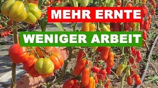 POWERPAKET FÜR MEHR ERNTE