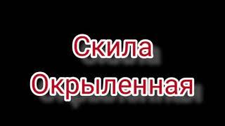 Скила Окрыленная. RAID: Shadow Legends.