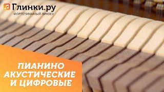 Пианино акустические и цифровые - Фортепианный ликбез Глинки.ру