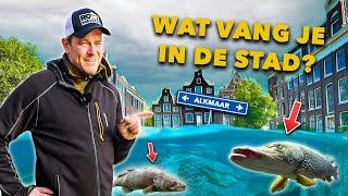 VANG meer ROOFVIS in de STAD met deze STREETFISHING TIPS & TRICKS!