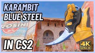  CS2 Karambit Blue Steel | CS2 Knife In-Game Showcase [4K]